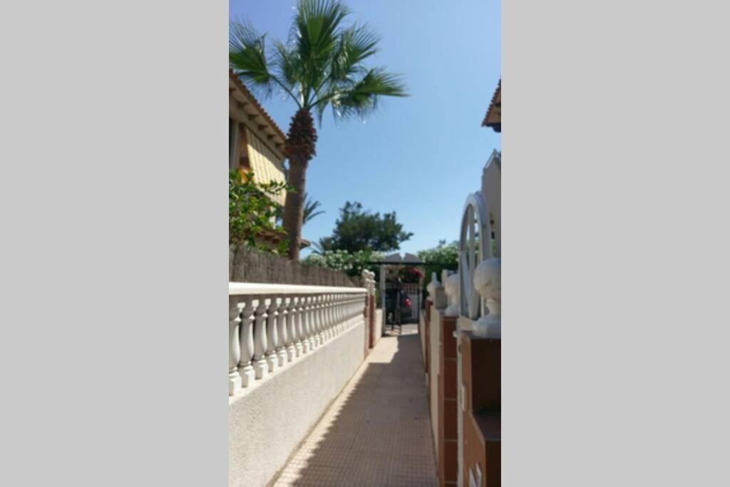 Ferienwohnung La Casa De La Palmera Torrevieja Exterior foto